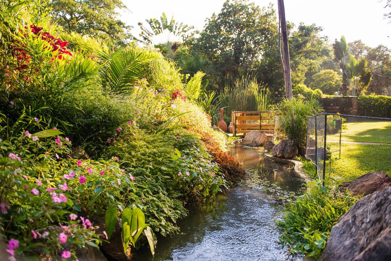 Fringilla Lodge Chisamba Dış mekan fotoğraf