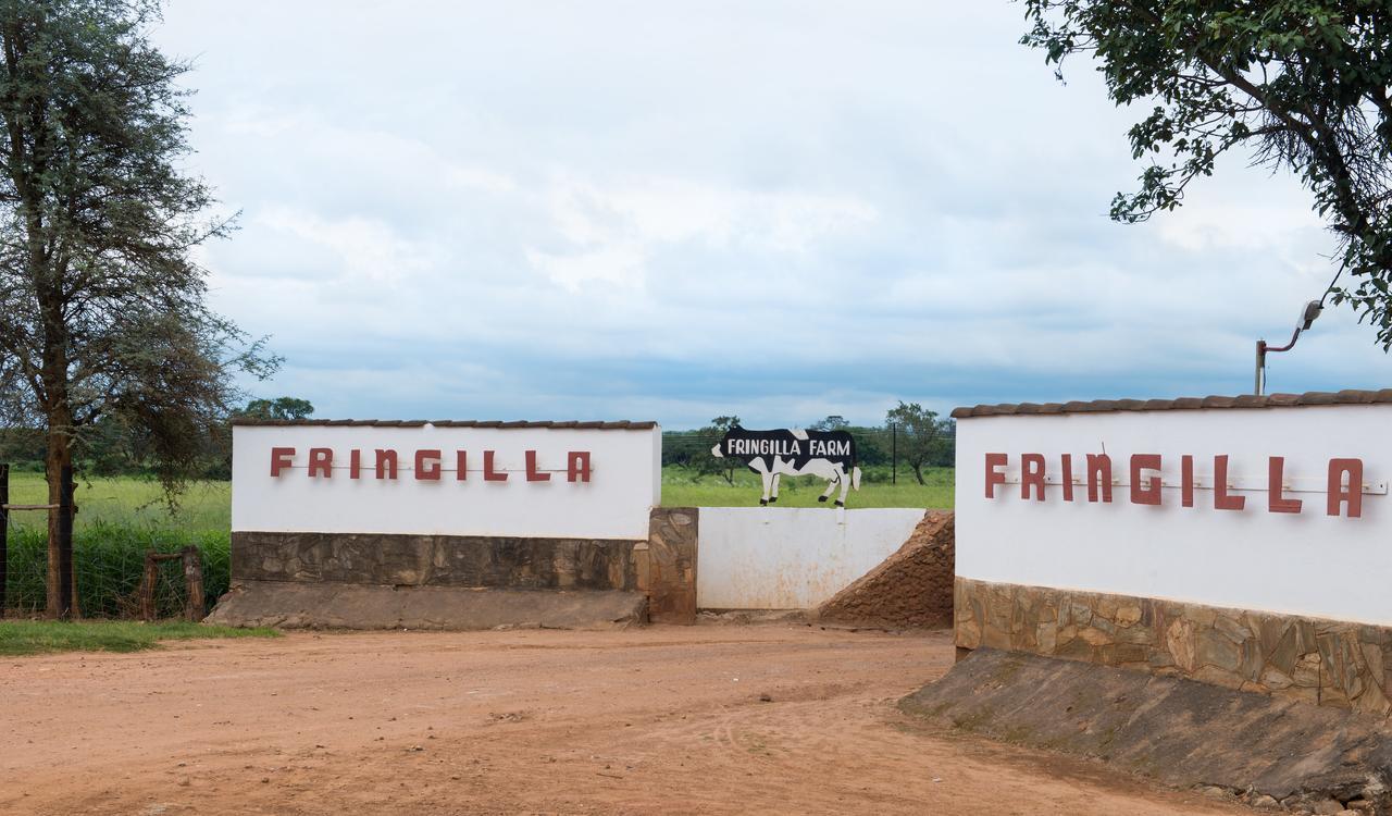 Fringilla Lodge Chisamba Dış mekan fotoğraf