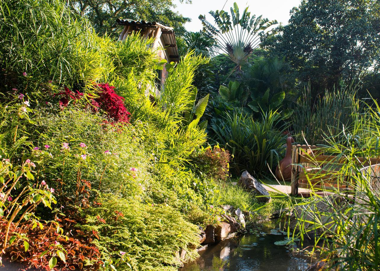 Fringilla Lodge Chisamba Dış mekan fotoğraf