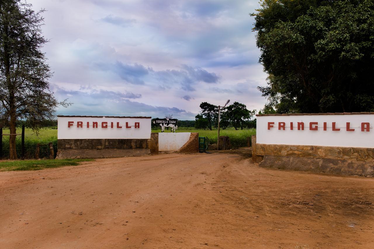Fringilla Lodge Chisamba Dış mekan fotoğraf