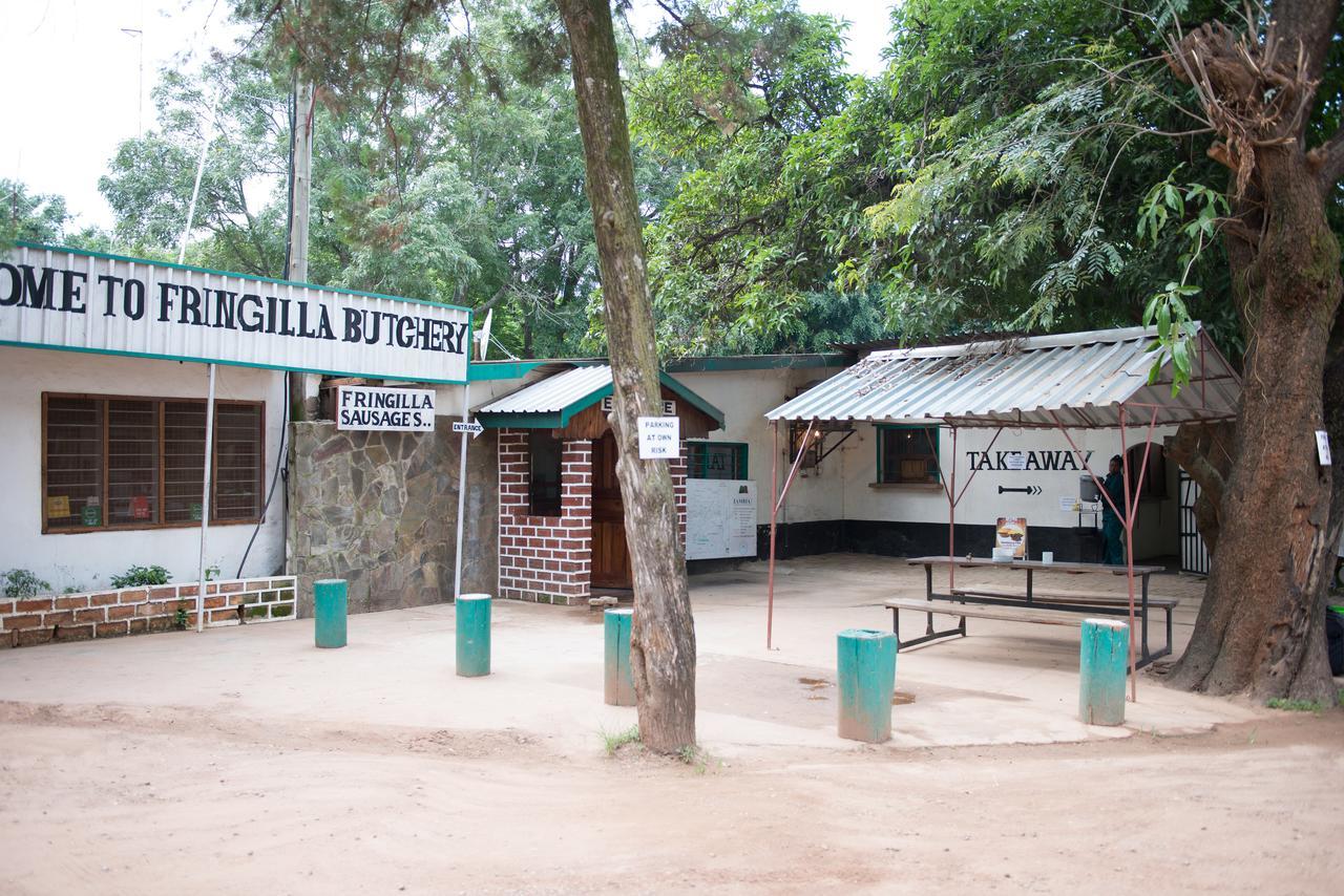 Fringilla Lodge Chisamba Dış mekan fotoğraf